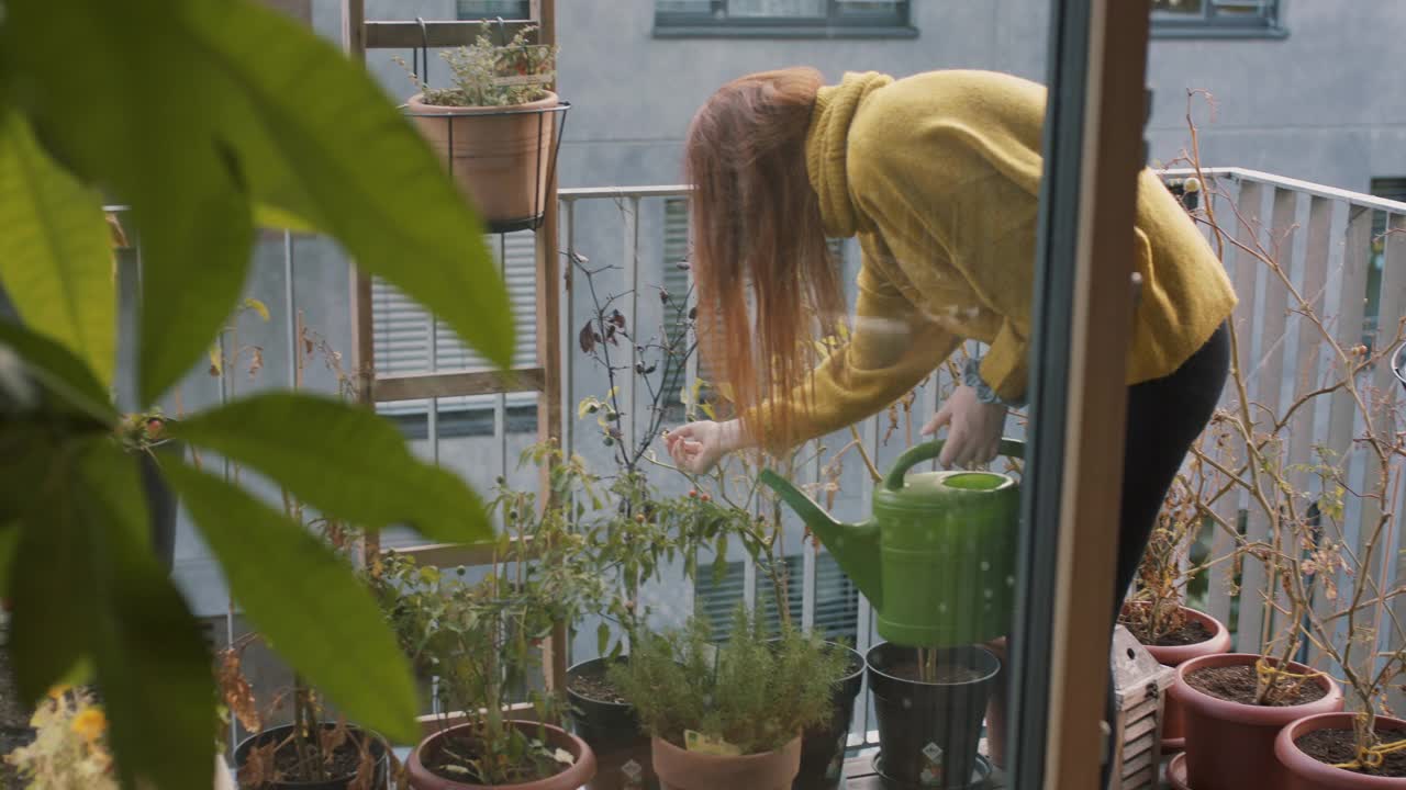 年轻女子在阳台上给植物浇水视频素材