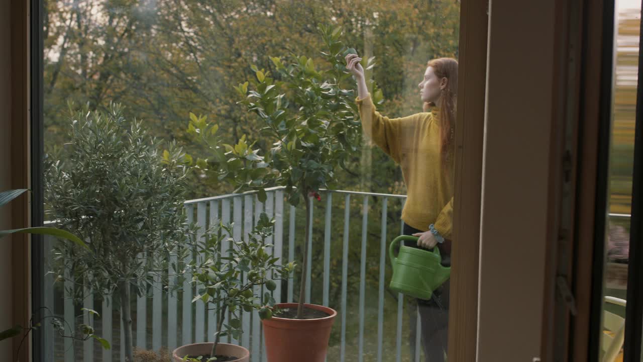 在阳台上照料植物的年轻女子视频素材