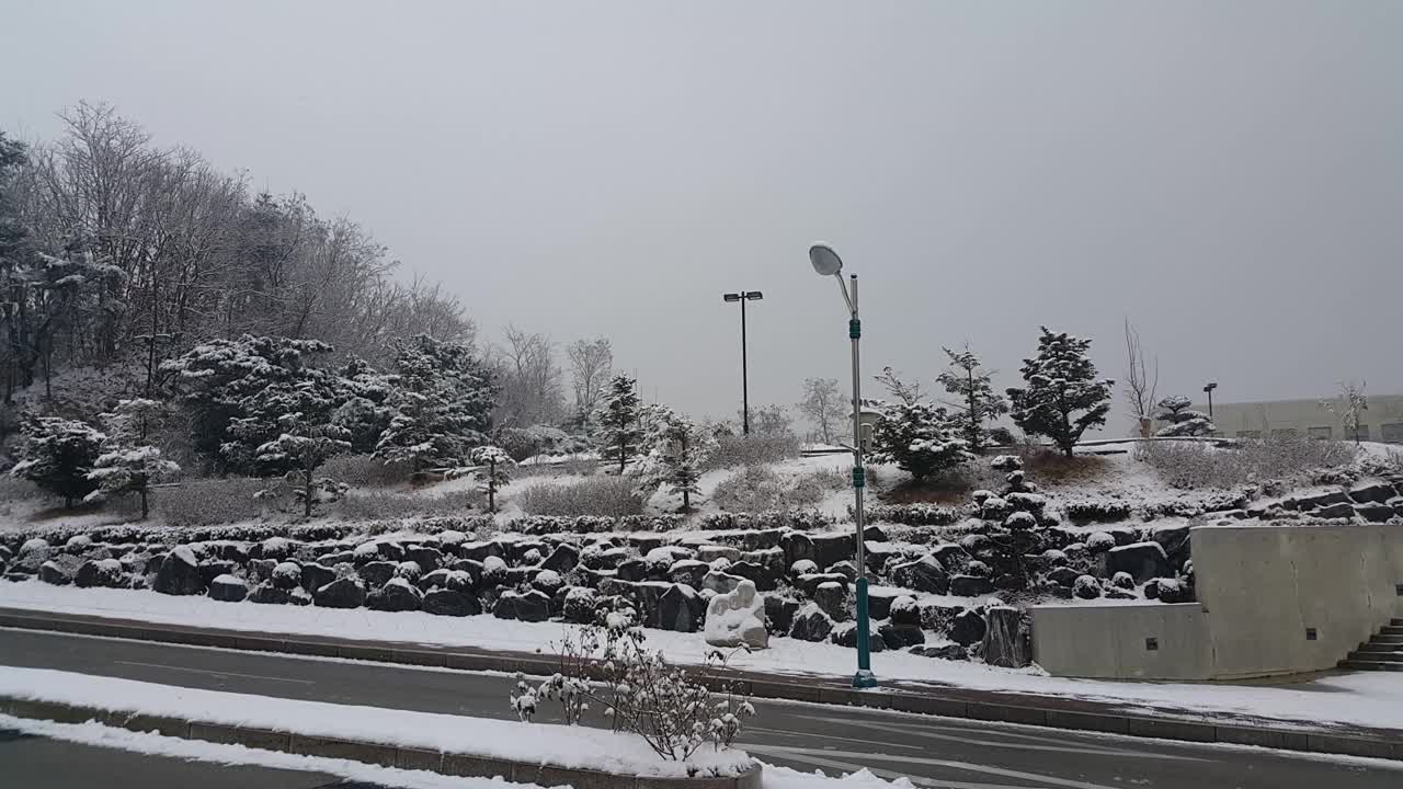 雪地和树木的景色，在一个公园在冬天视频下载