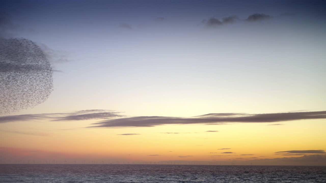 一群椋鸟在日落时飞过天空视频素材