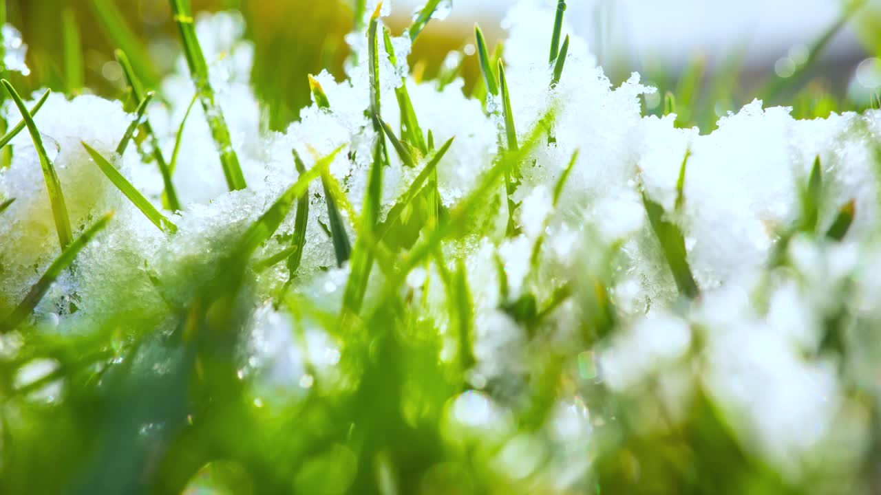春天草地上融化的雪视频购买