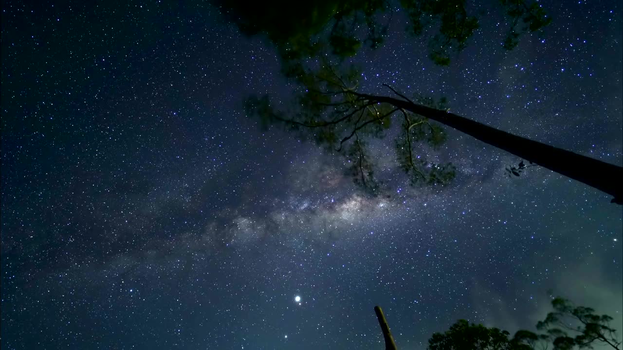 夜空和树木/印度尼西亚的巴厘岛视频素材