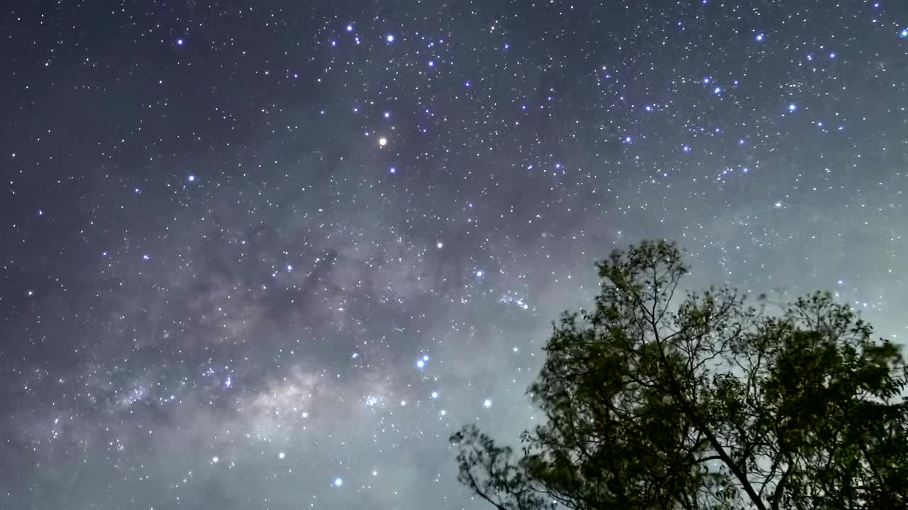 夜空和树木/印度尼西亚的巴厘岛视频素材