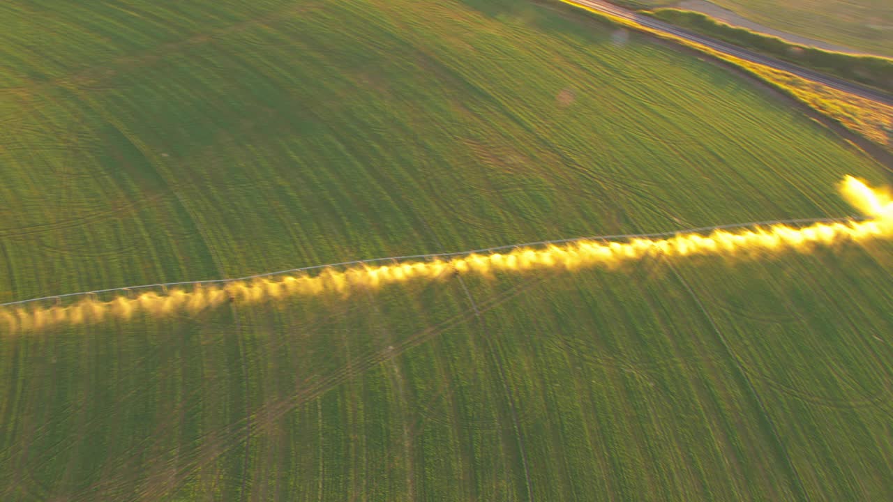 中心支点灌溉系统运行在一个大型农田与水喷洒美丽的背光由夕阳。视频素材