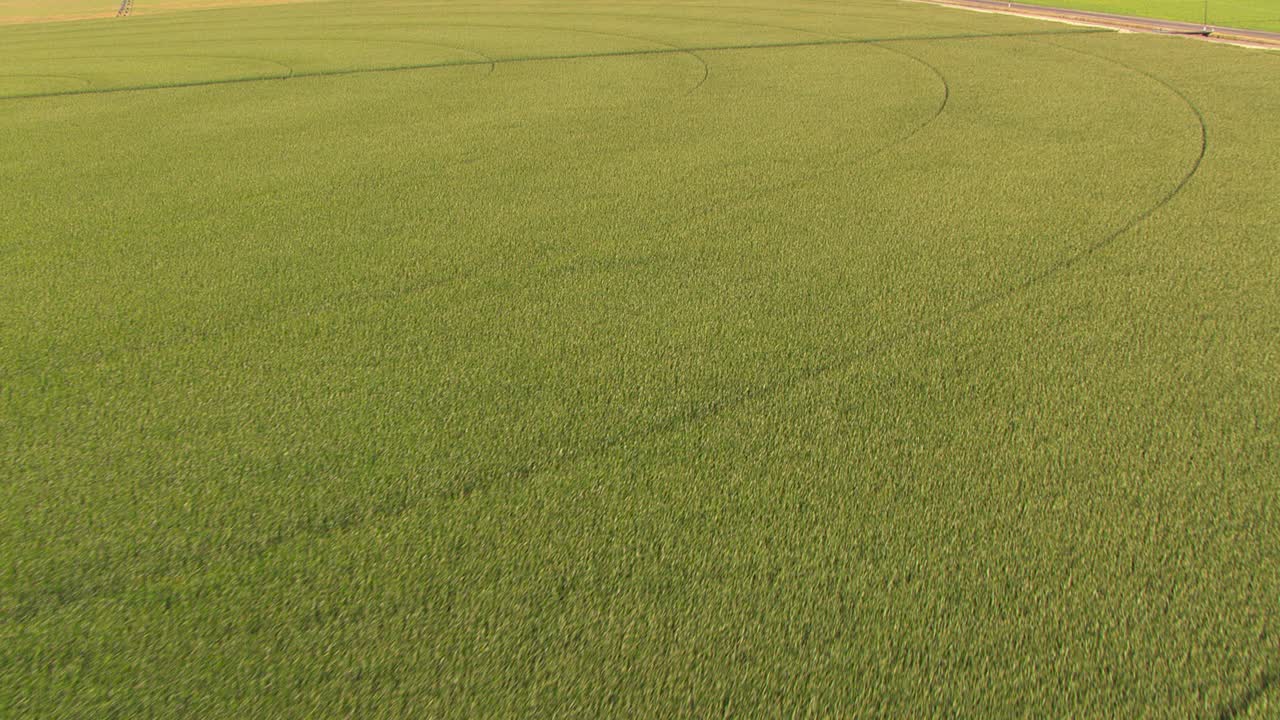 绿色灌溉农田的头顶视图。视频素材
