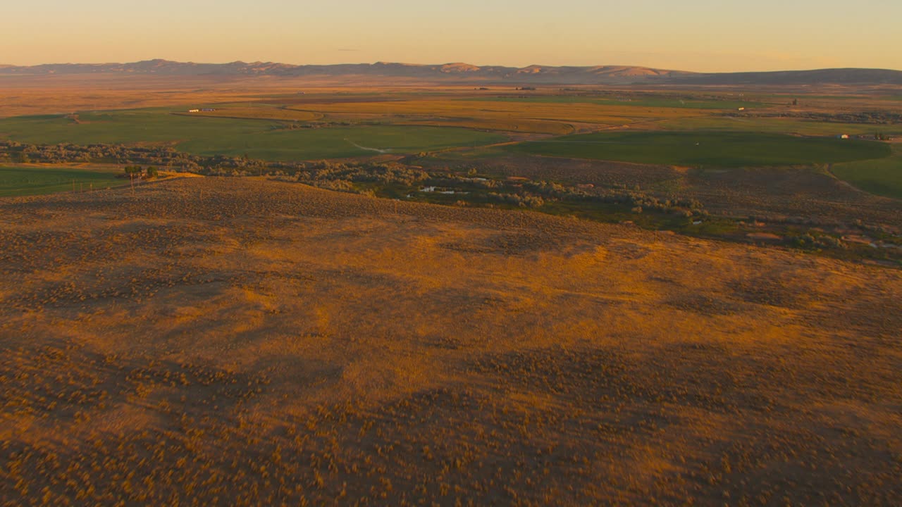 在干旱的棕色景观中以中心轴为中心灌溉田地。视频下载