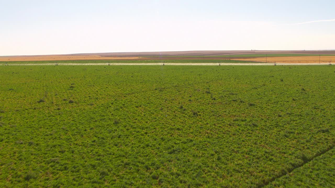 土豆田和灌溉系统。视频下载