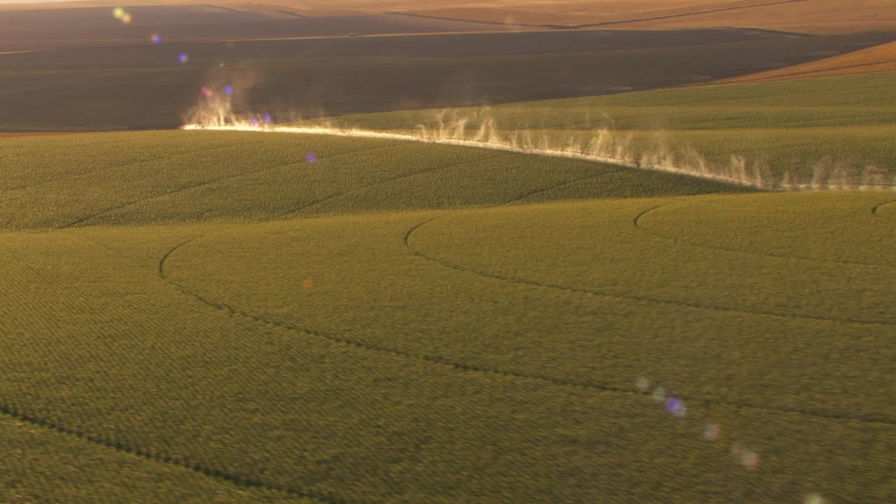 中心支点灌溉系统运行在一个大型农田与水喷洒美丽的背光由夕阳。视频下载