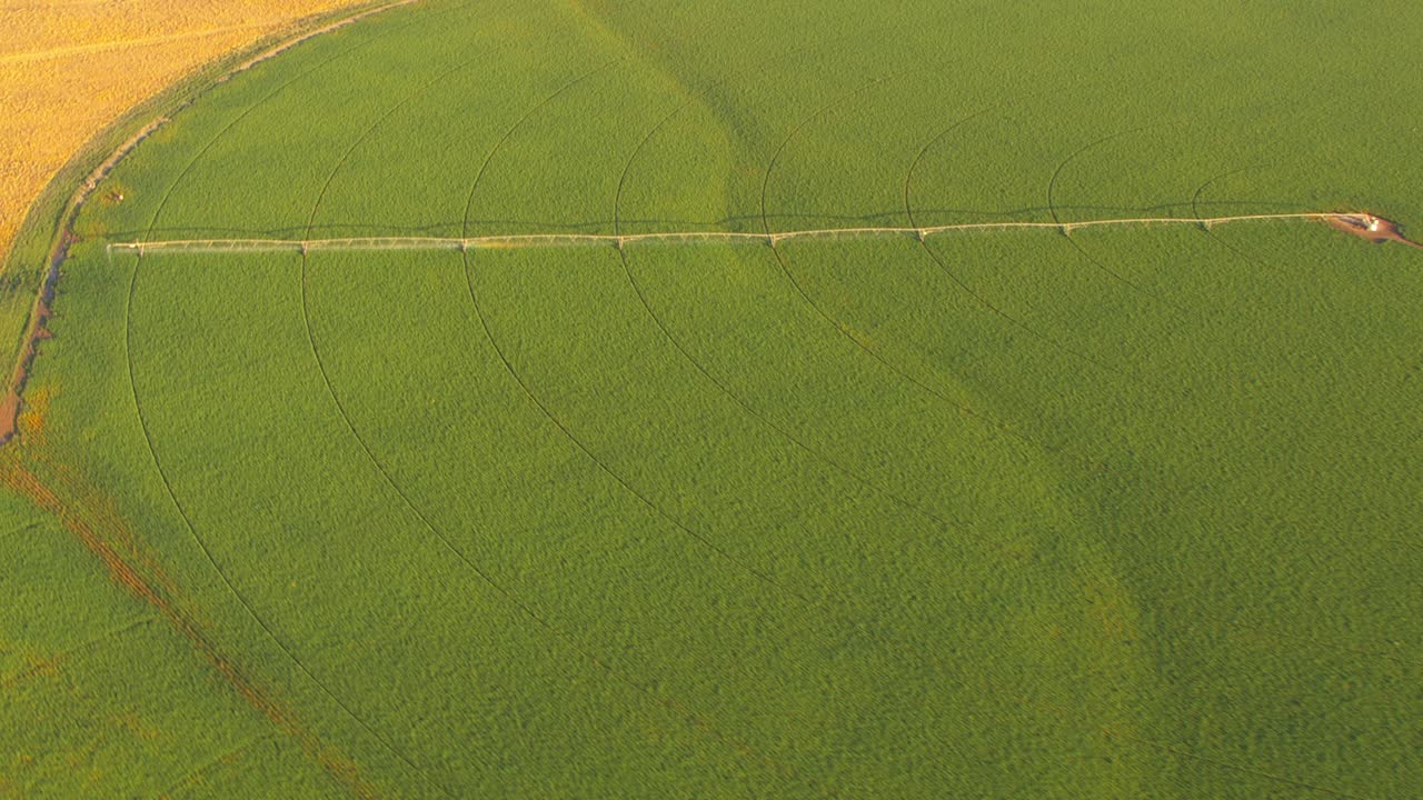 大型农田的中心支点灌溉系统。视频下载