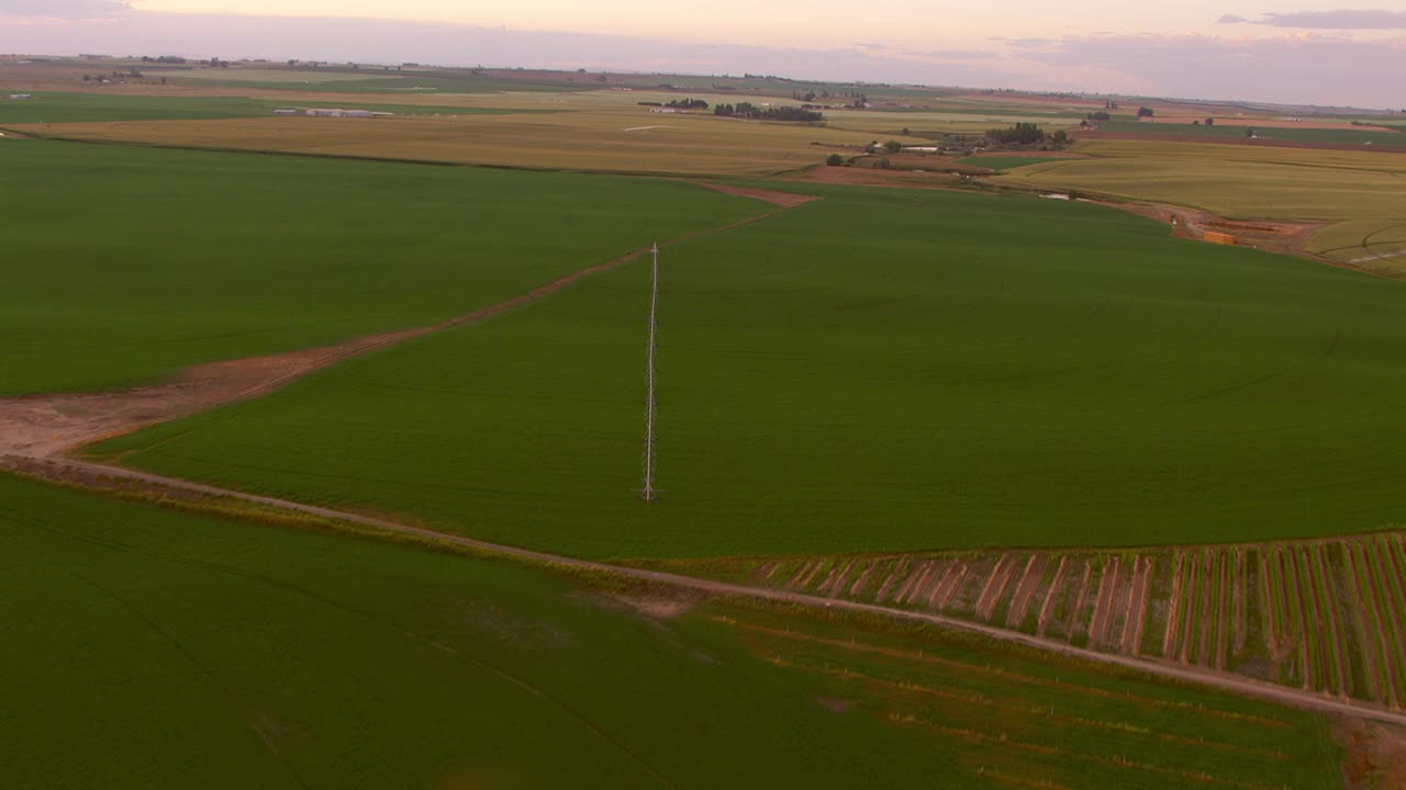 郁郁葱葱的绿色中心支点灌溉农田。视频下载
