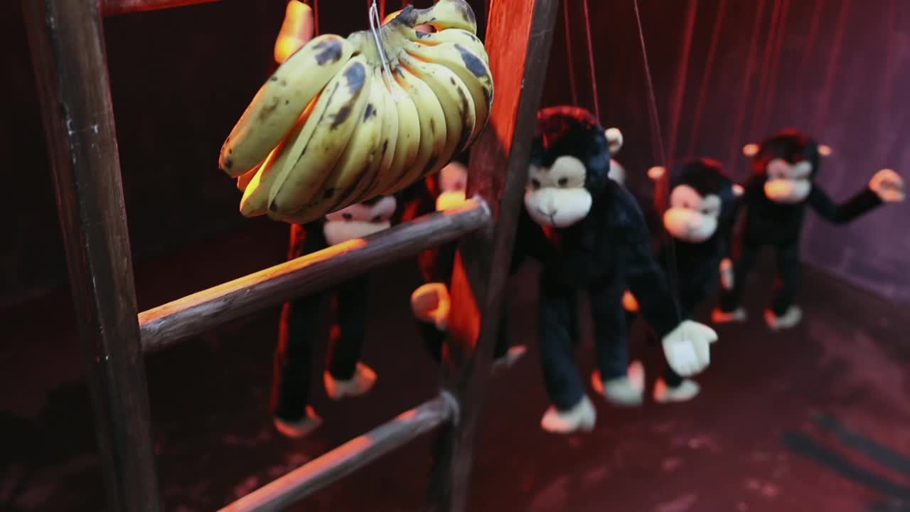 中等镜头的猴子木偶试图抓住香蕉挂在木偶戏视频下载