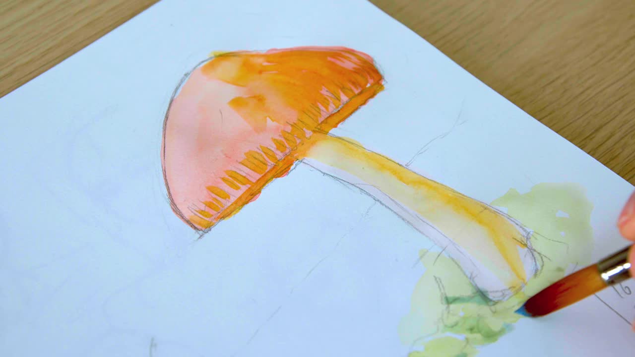 用水彩画蘑菇视频下载