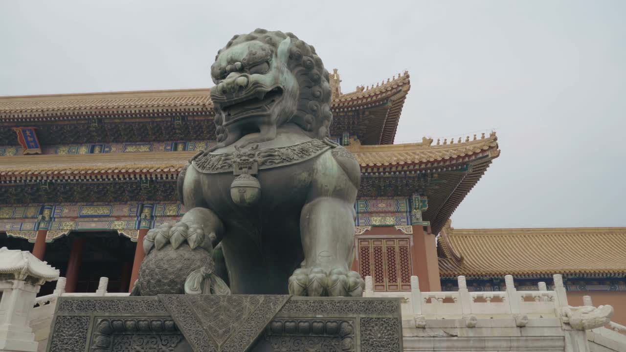 中国北京紫禁城内的大型皇家狮子雕像。视频下载