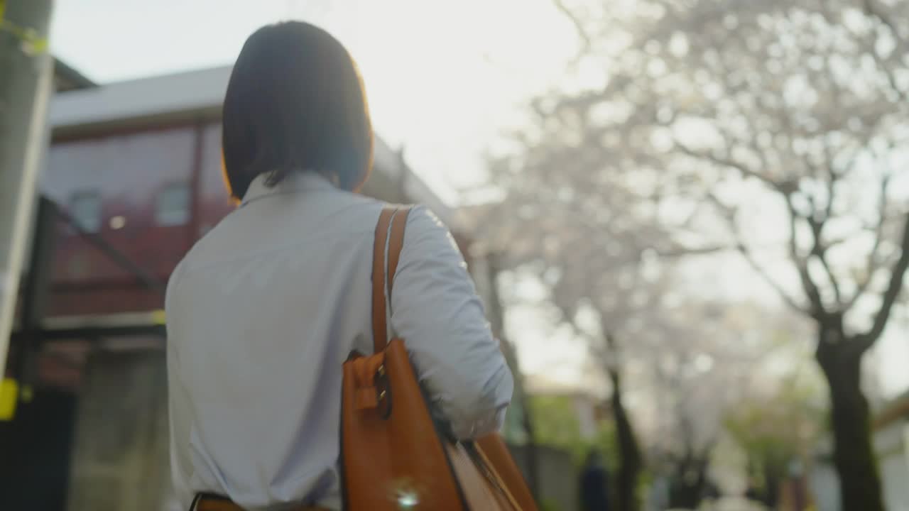 年轻女商人上下班，行走在樱花树下视频素材