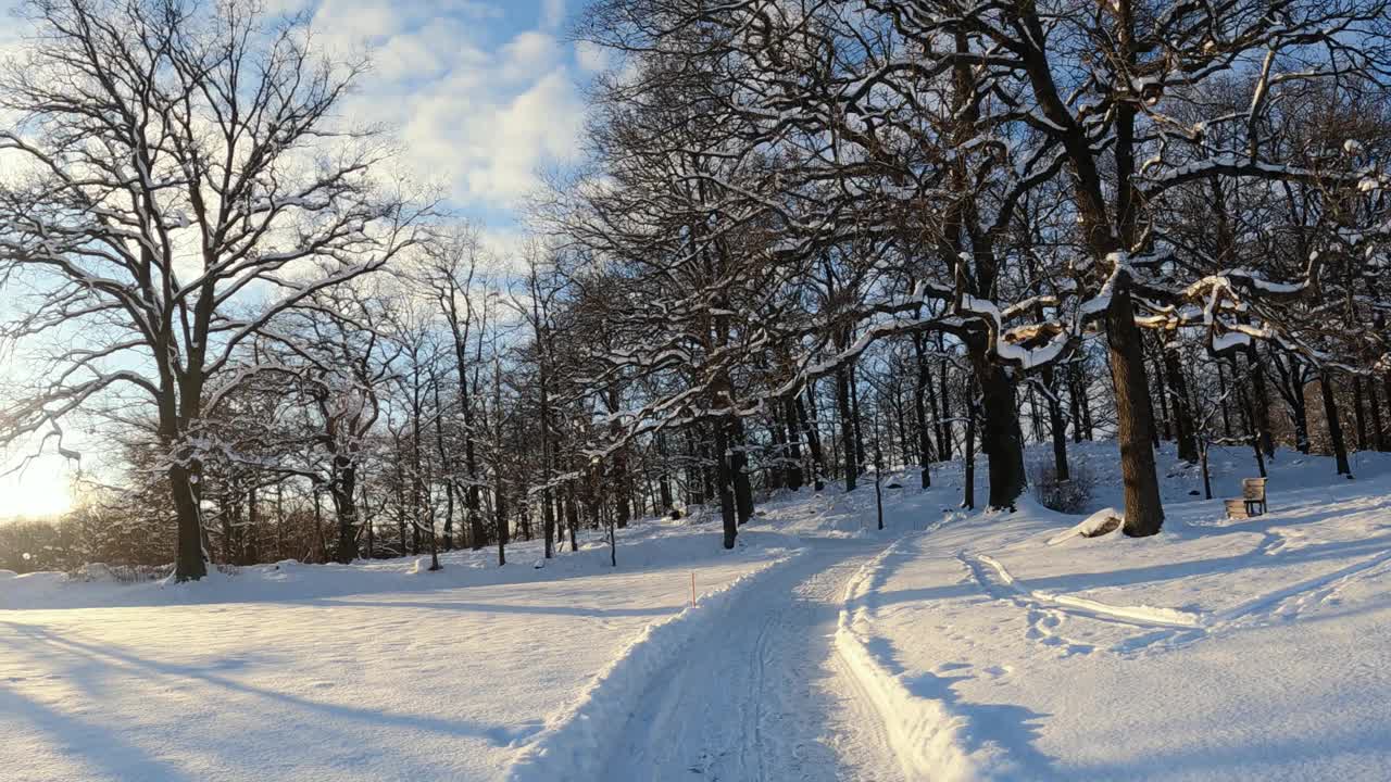 在大自然的冬天散步视频素材