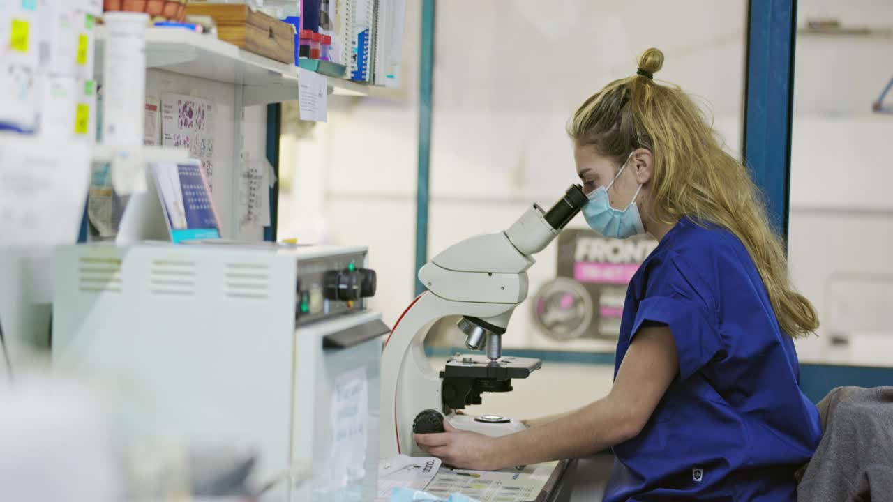 年轻医学技术人员在实验室中使用显微镜视频下载