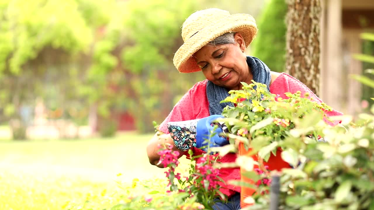 老年妇女喜欢在家里的花坛里种花。视频下载