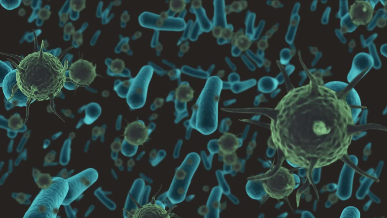 covid - 19和细菌细胞漂浮的动画视频下载