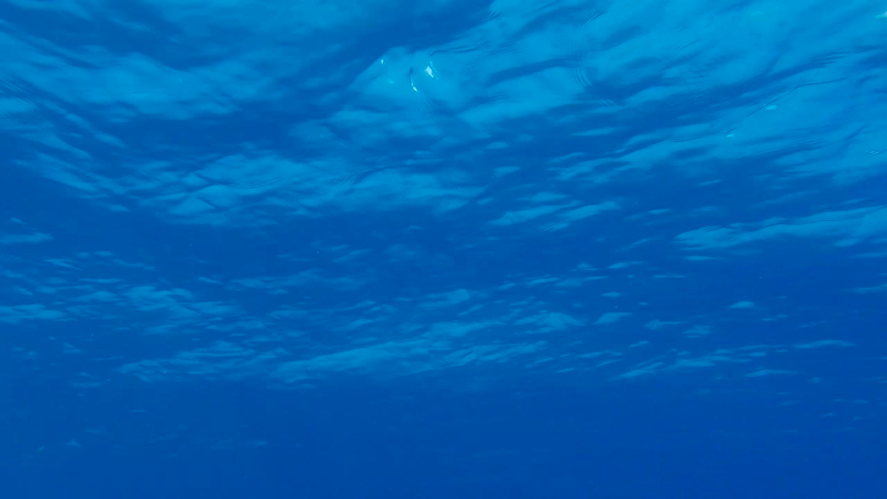 水下拍摄，蓝色的水面。自然背景与阳光在蓝色的水面上闪烁。蓝色海水表面反射阳光的纹理视频下载