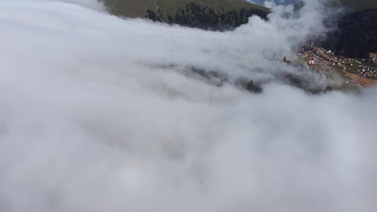 云和森林鸟瞰图视频下载