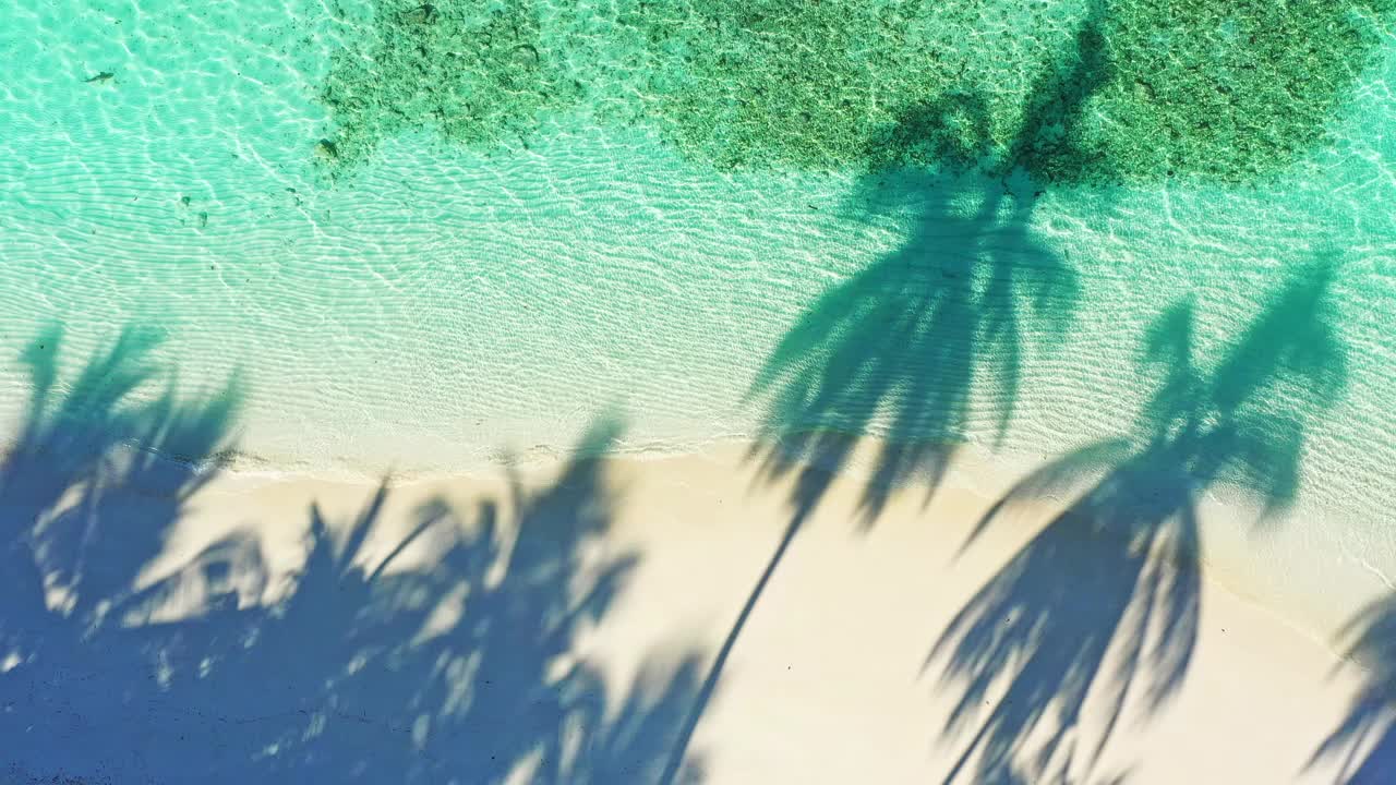 无人机拍摄的热带岛屿和棕榈树视频素材