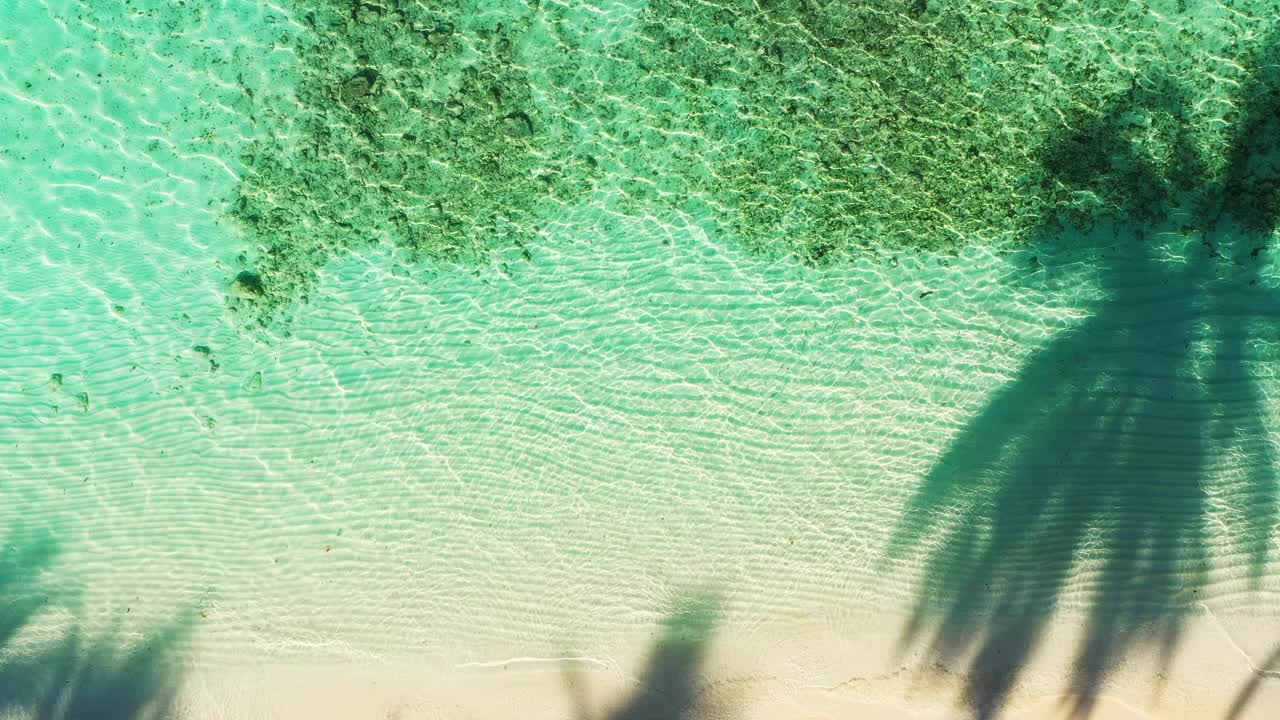 无人机拍摄的热带岛屿和棕榈树视频素材