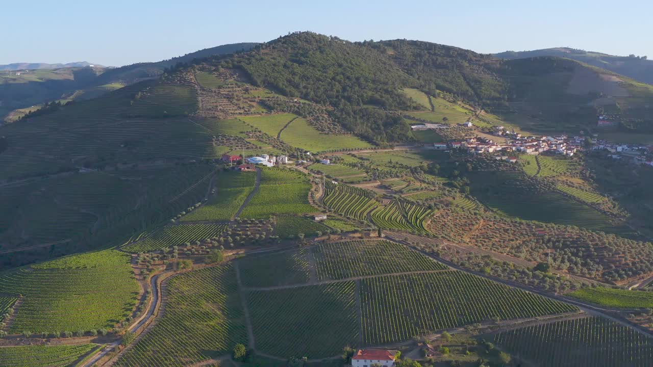 鸟瞰图，梯田葡萄园在浪漫的日落杜罗山谷附近的品豪村。在葡萄牙旅游的概念和葡萄牙最美丽的地方葡萄酒港葡萄酒农场Unesco视频素材