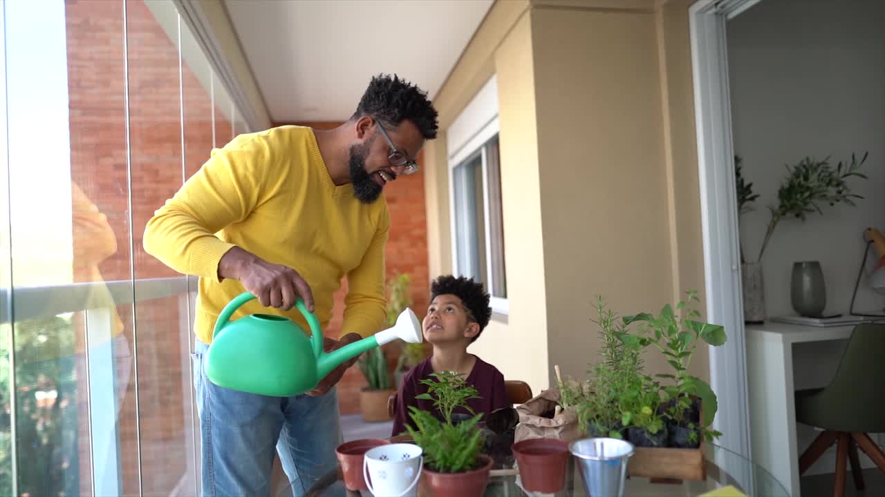 父子俩一起在家里给植物浇水视频下载