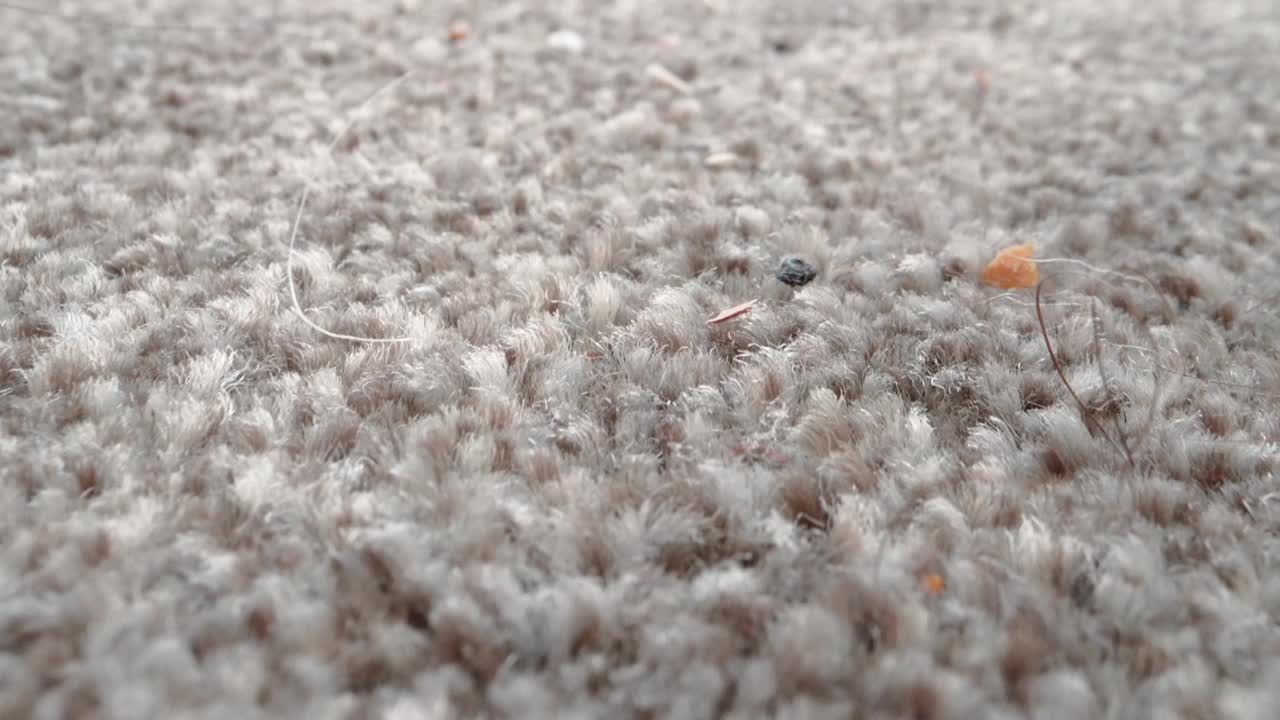地毯上的灰塵的特寫視頻素材