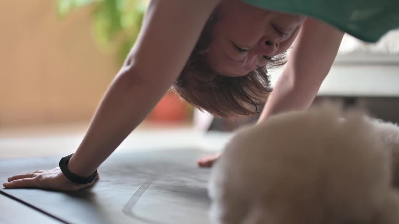 亚洲华人中年女性练习瑜伽锻炼在家里客厅，而她的玩具贵宾犬打扰她寻求注意力分散视频购买