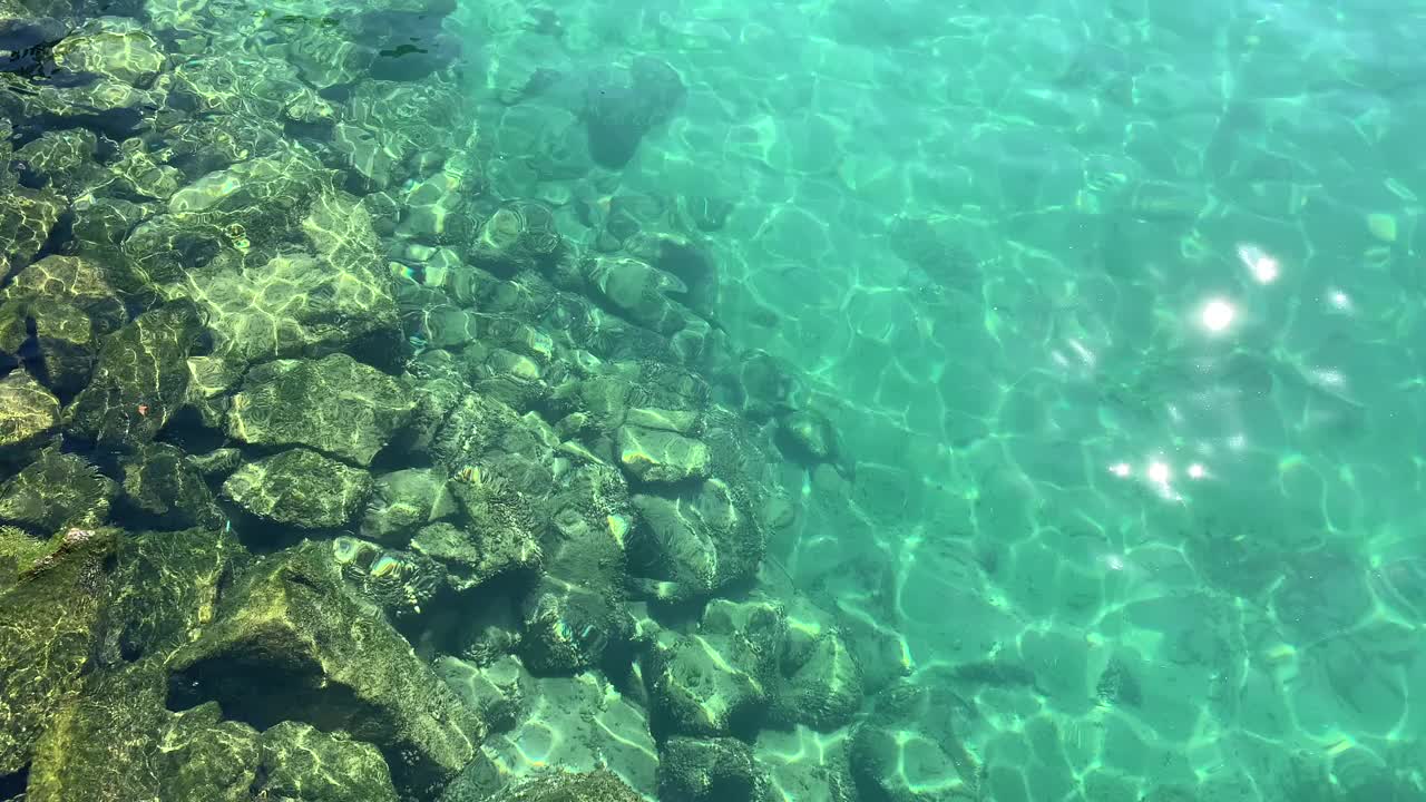 日内瓦湖和阳光下清澈的湖水视频下载