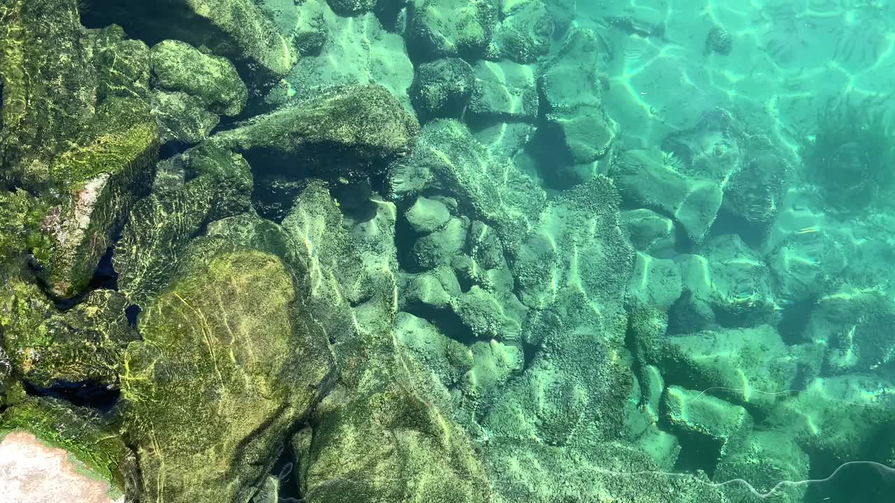 日内瓦湖和它的透明的水在夏天视频下载