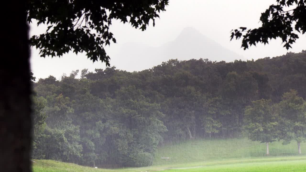 被树林、树木或森林包围的广角山脉。树在帧的左侧可见，部分失焦。可能是公园或高尔夫球场。笼罩在山上的看得见的雾或薄雾雨可见。视频购买