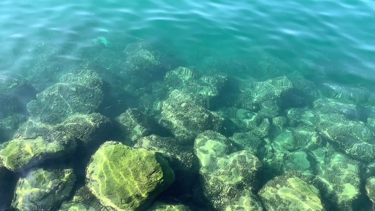 夏天日内瓦湖清澈的湖水下的岩石视频下载