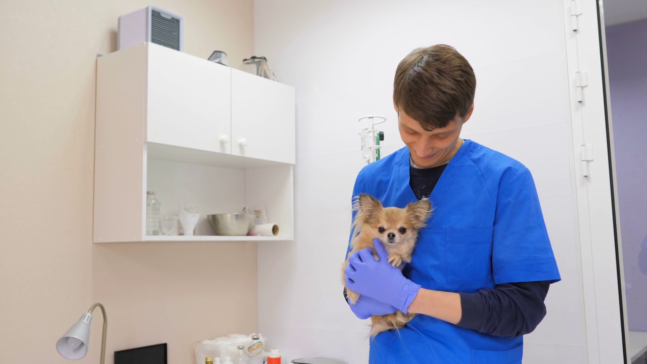 在一家兽医诊所，一名年轻的白人男性兽医抱着一只可爱的小狗。宠物护理，医药，健康，医生专业治疗医疗业务。视频下载