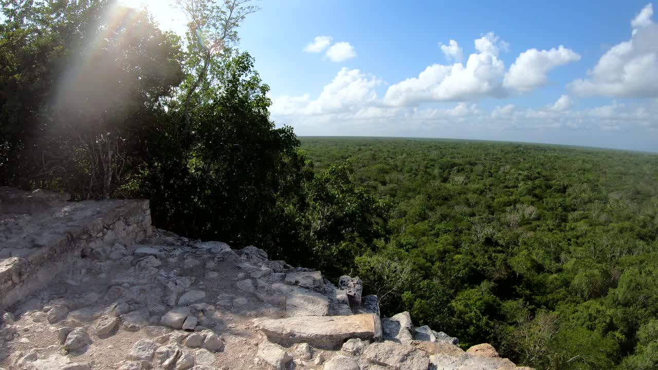 观看尤卡坦雨林科巴玛雅台阶墨西哥视频素材