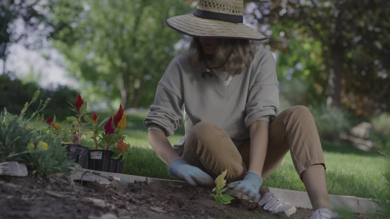 妇女在花园的土壤中种花/雪松山，犹他州，美国视频素材