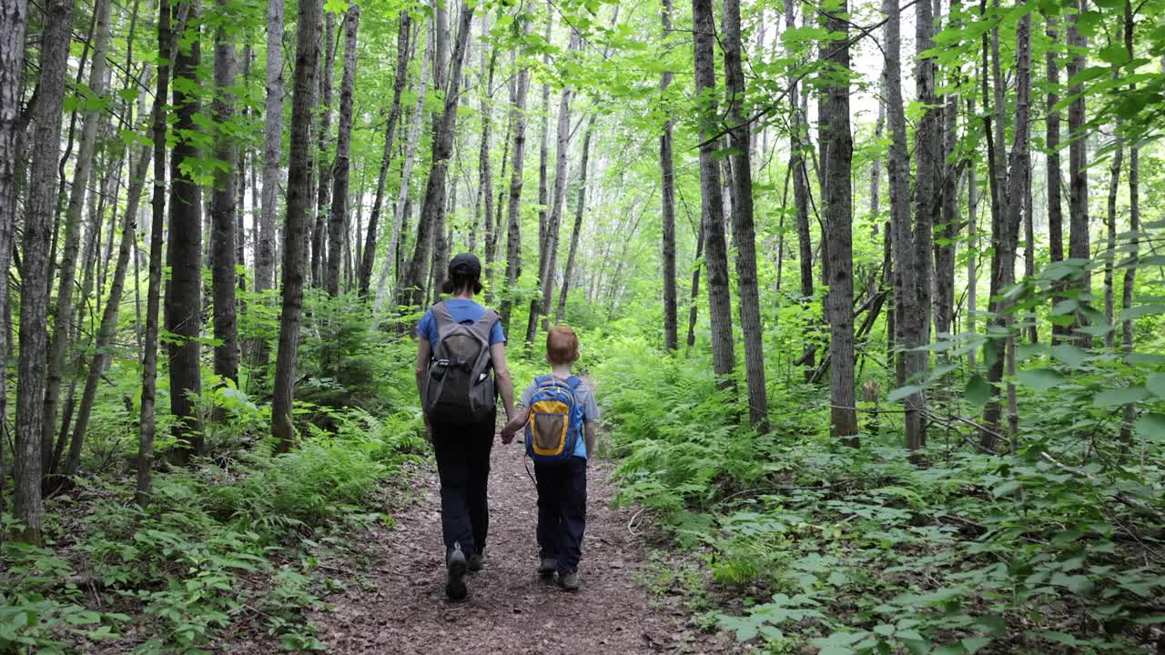 可爱的红发孩子和母亲在加拿大魁北克省的国家公园远足视频下载
