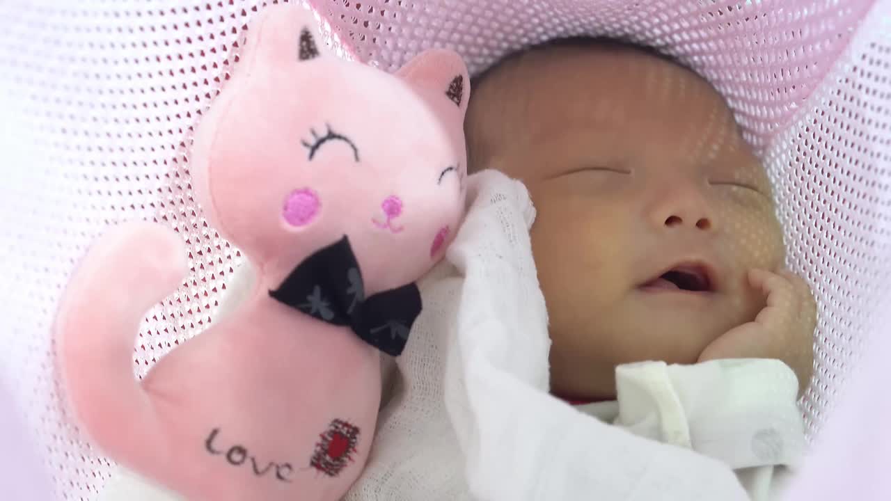 宝宝睡在猫毛绒玩具视频下载