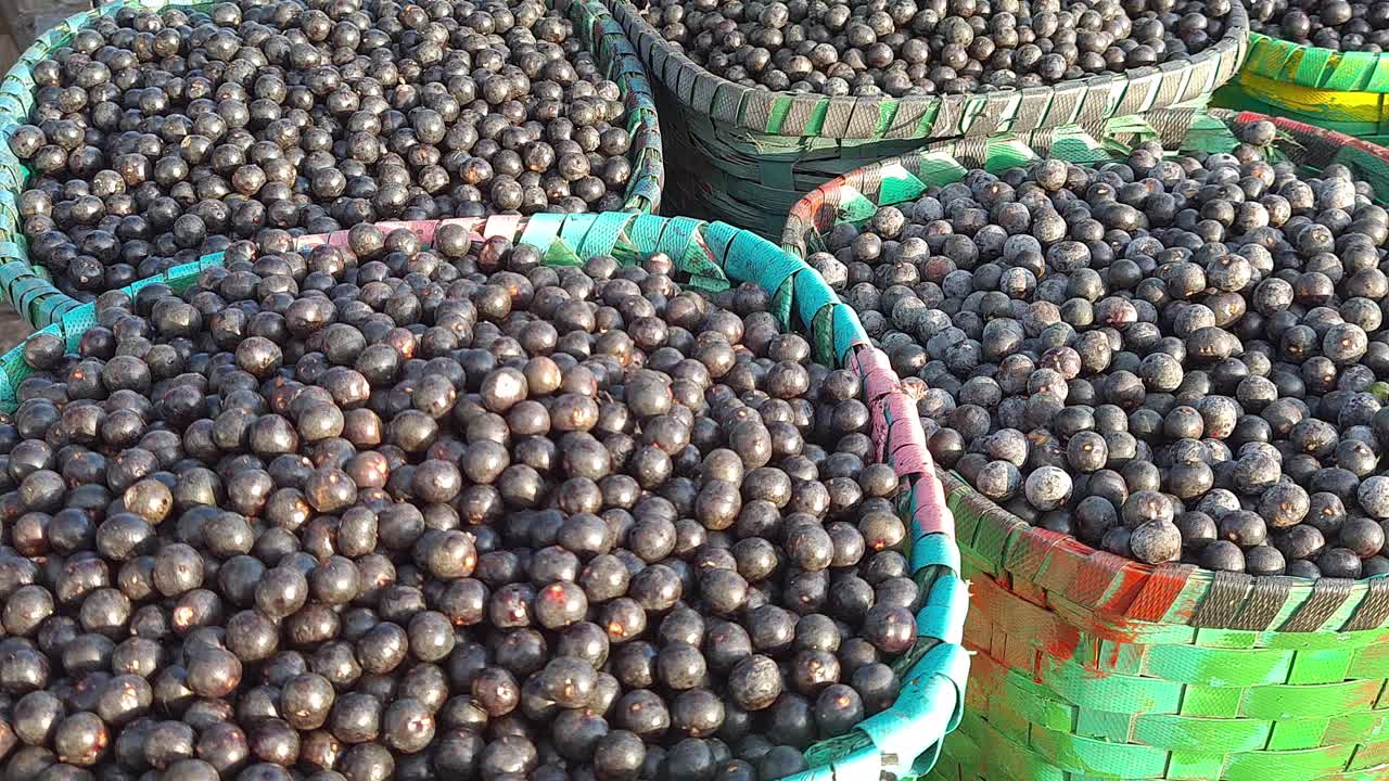 新鲜巴西莓在Feira do Açaí (Ver-o-Peso Market)， Belém do Pará出售视频素材