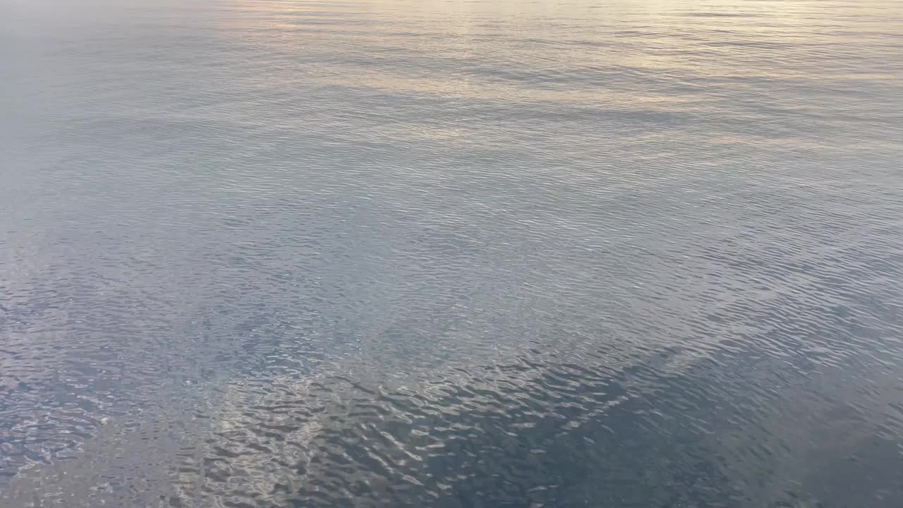 清晨平静的大海视频素材