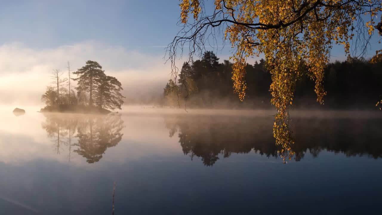 秋日拂晓，湖面上有雾，有岛屿，还有一根桦树枝视频下载