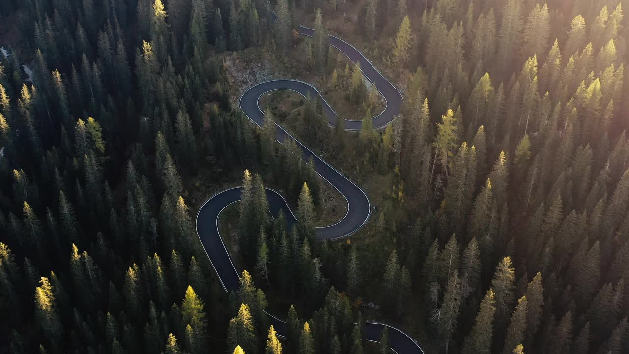 鸟瞰图弯曲的山路穿过秋天的森林视频下载