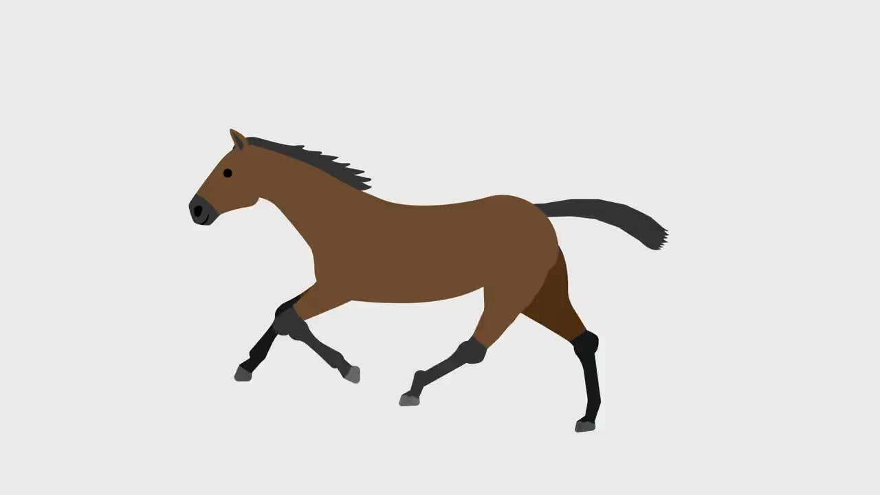 奔跑的马插图循环动画(4K分辨率，背景透明)视频下载