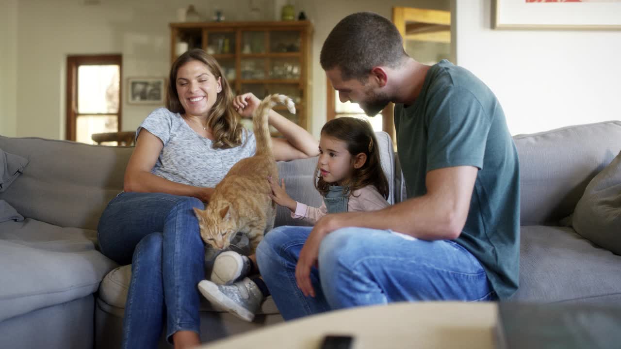 父母和女儿在家里玩猫视频下载