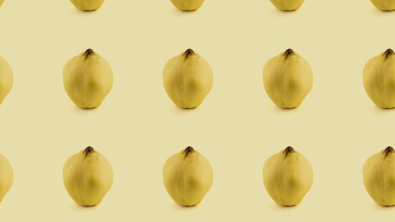 贴梗海棠的果实模式视频下载