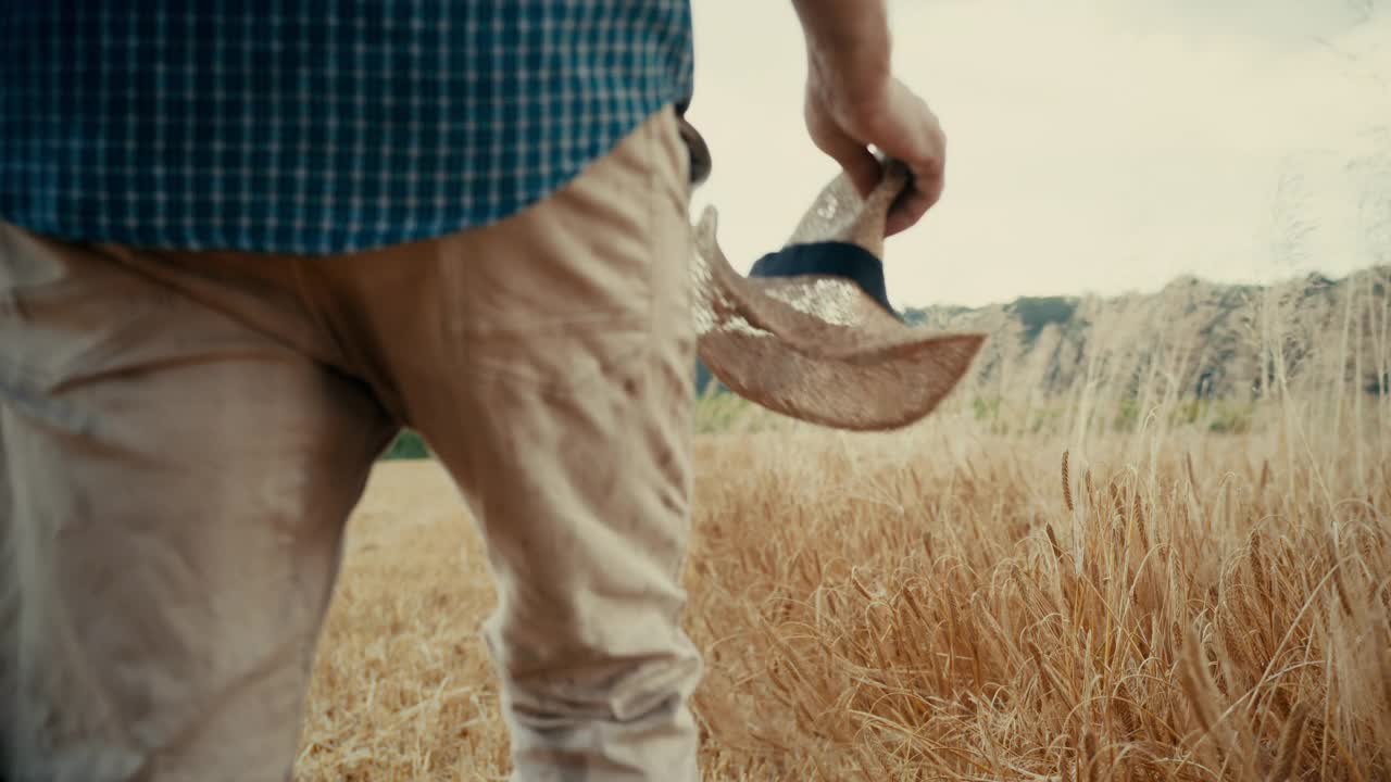 一位面如土色的农夫走在麦田里，触摸着麦穗视频素材