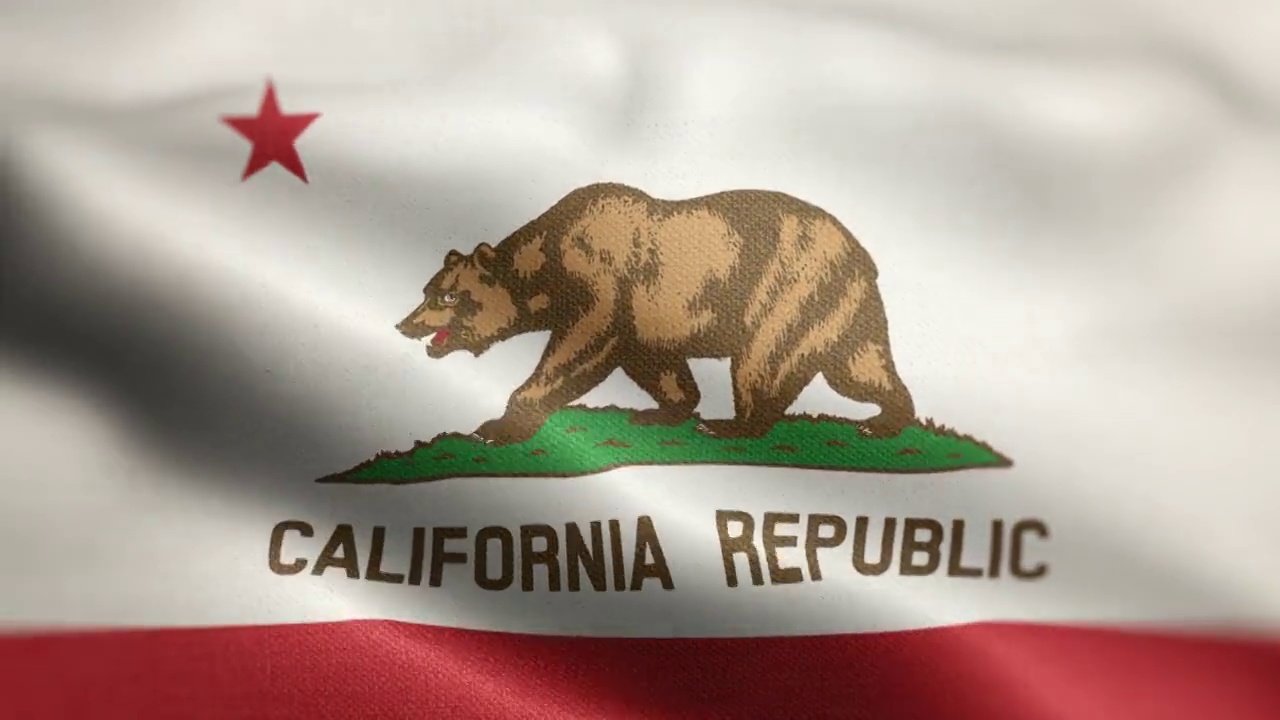 加州共和国州旗动画背景视频-加州州旗在循环中挥舞-加州旗在风中飘扬-高度详细的纹理旗帜织物视频素材