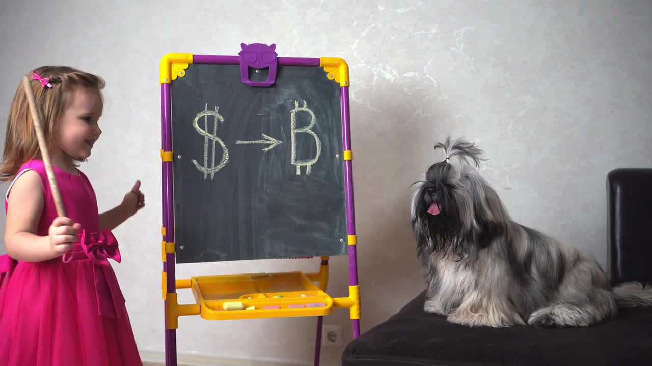 一个女孩在黑板上向一只狗展示有必要在比特币上投资美元视频下载