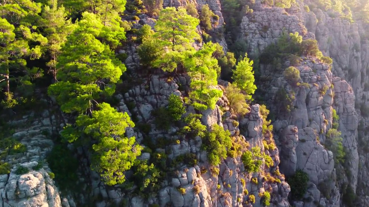 峡谷顶部茂密的神奇森林，巨大壮观的悬崖岩石，史诗般的无人机在日落时飞越山脉，美丽的地质奇观与绿色的树木视频购买